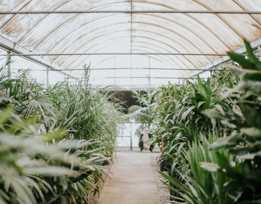 greenhouse worker