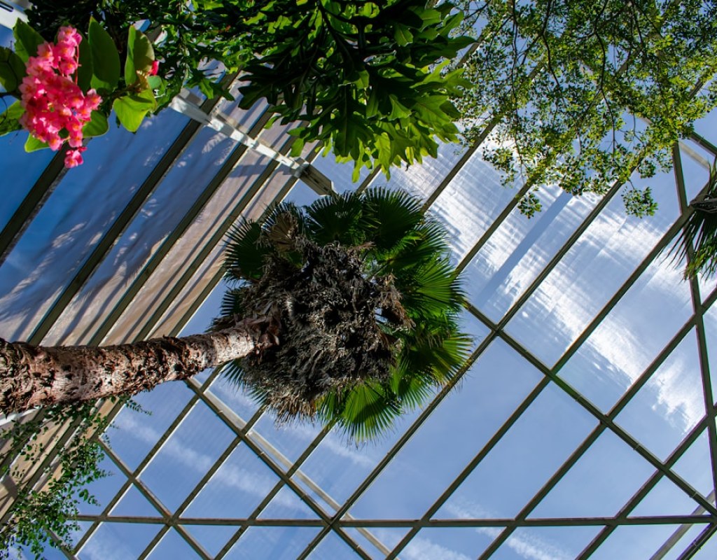 flower greenhouse work